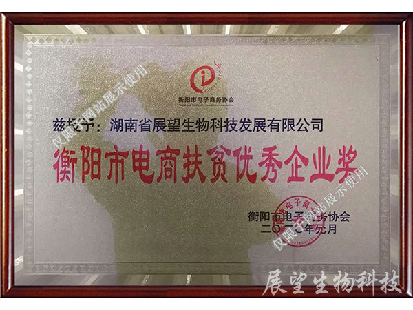 電商扶貧優秀獎